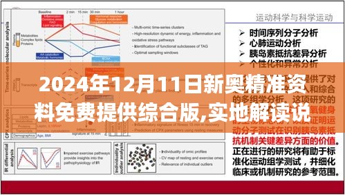 2024年新奥正版资料免费大全,|讲解词语解释释义