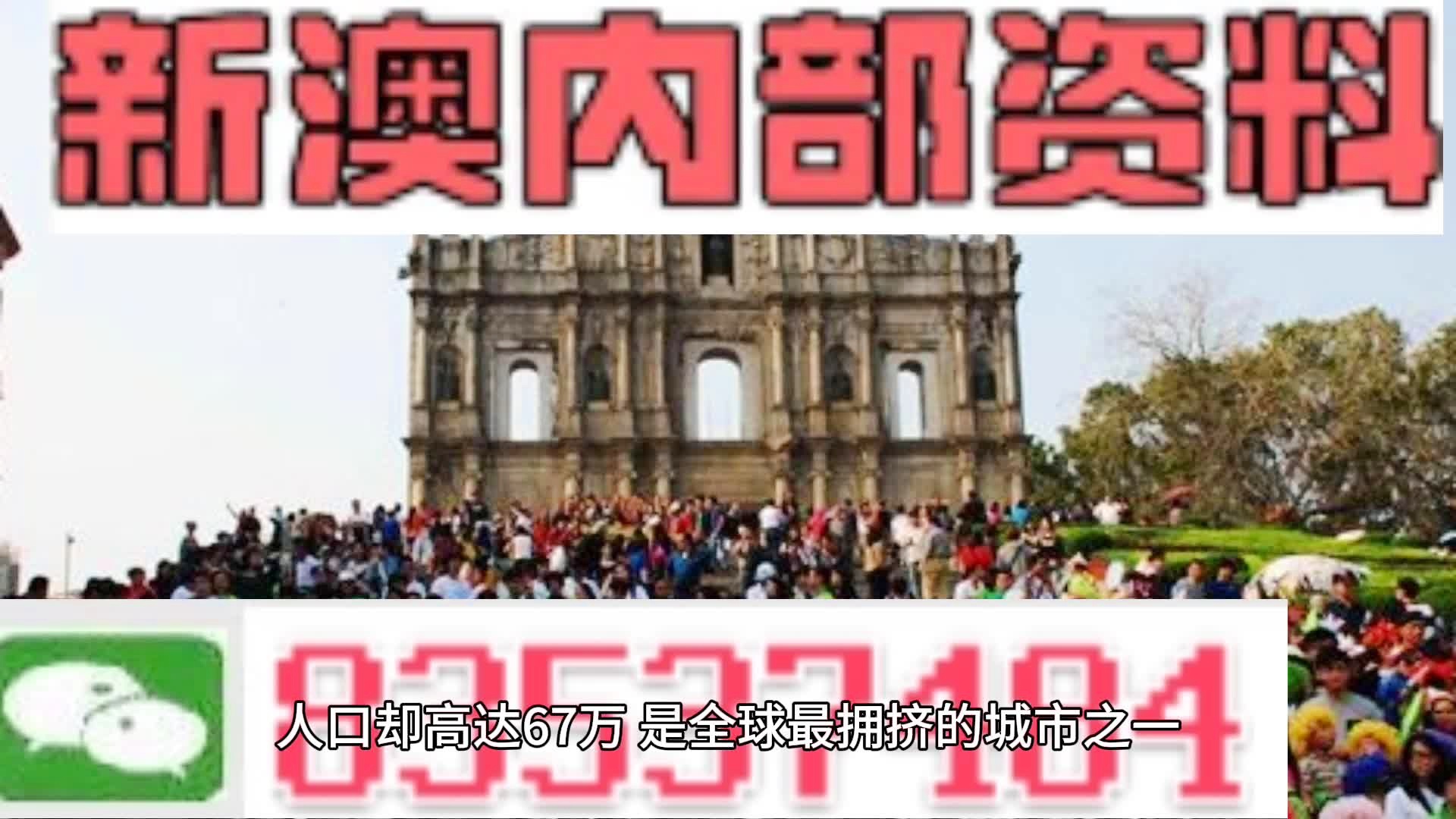 新奥门正版免费资料怎么查|精选解释解析落实