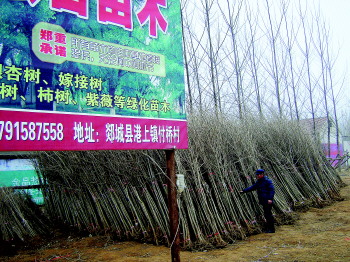 白洋村人才市场招聘网，连接乡村与城市的桥梁