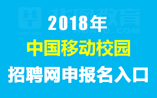 白洋人才市场招聘，探寻人才市场的机遇与挑战