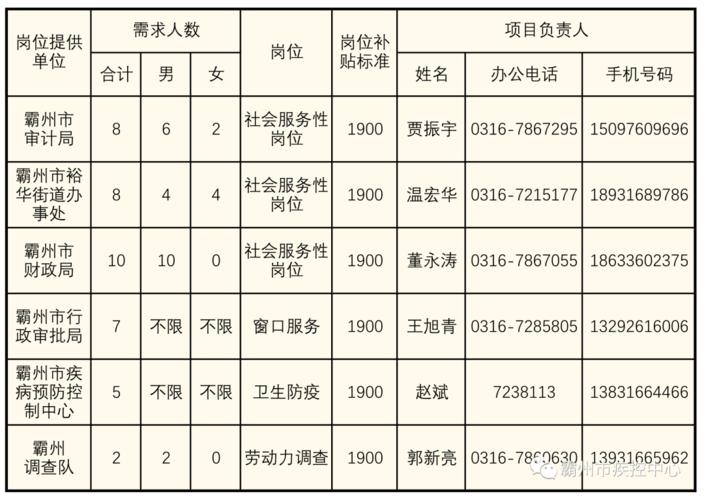 霸州镇最新招工信息全面解析