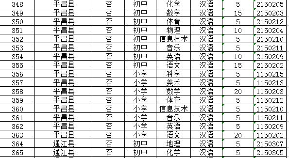 巴中人才网最新招聘动态深度解析