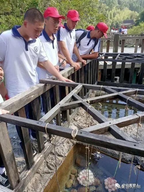 伴奏版经典老歌大全视频，重温时光的音乐之旅