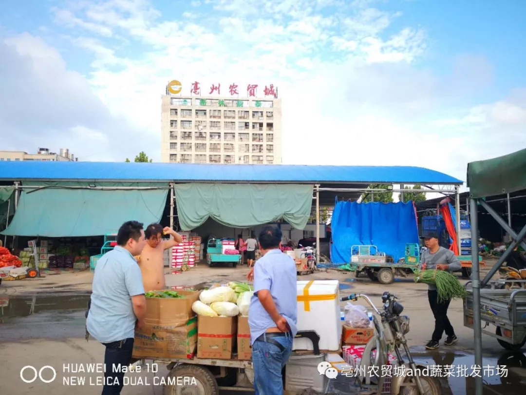 百货批发市场总代的崛起与挑战