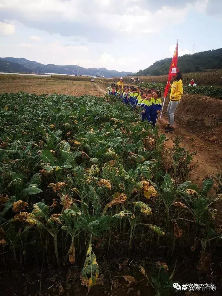 宝贝DJ音乐网，抖音热门音乐串烧的新天地